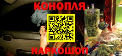 дмт Кингисепп