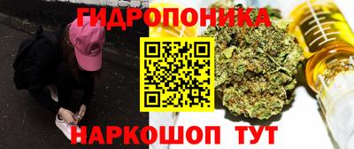 дмт Кингисепп