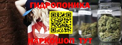 дмт Кингисепп