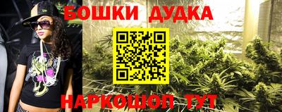 дмт Кингисепп