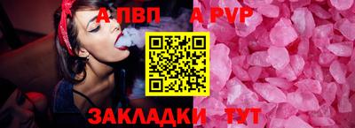 дмт Кингисепп