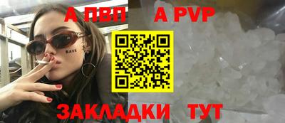 дмт Кингисепп