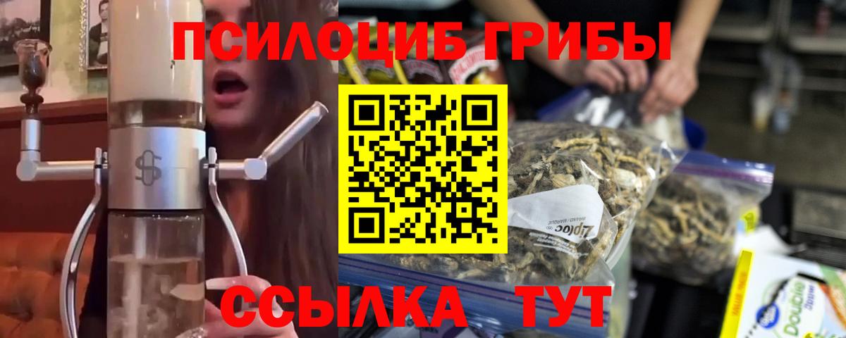 Псилоцибиновые грибы MAGIC MUSHROOMS  Псилоцибиновые грибы Psilocybine cubensis  Куйбышев  Вход с VPN 