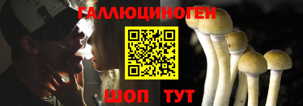 Галлюциногенные грибы прущие грибы Куйбышев